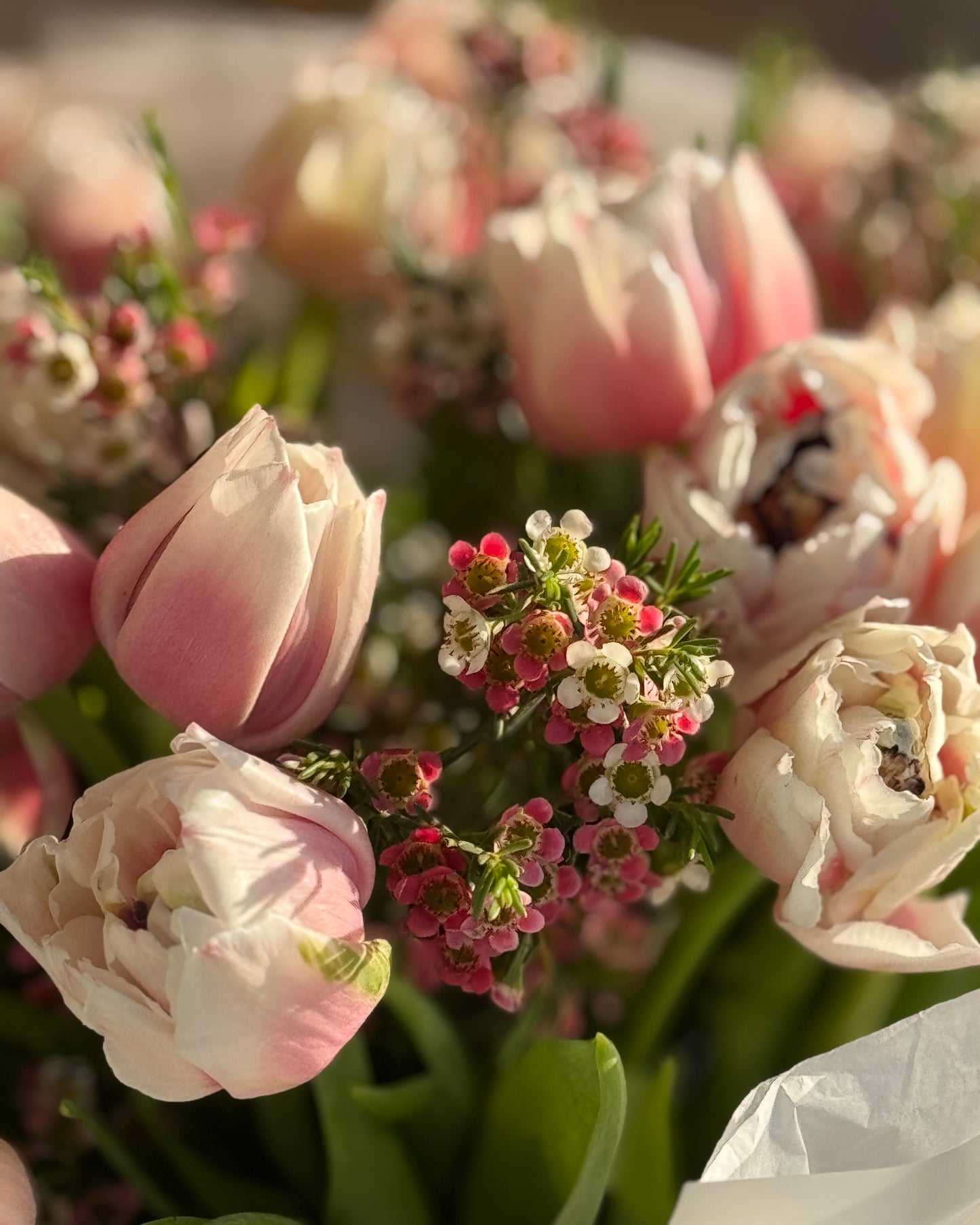 Whisper of spring