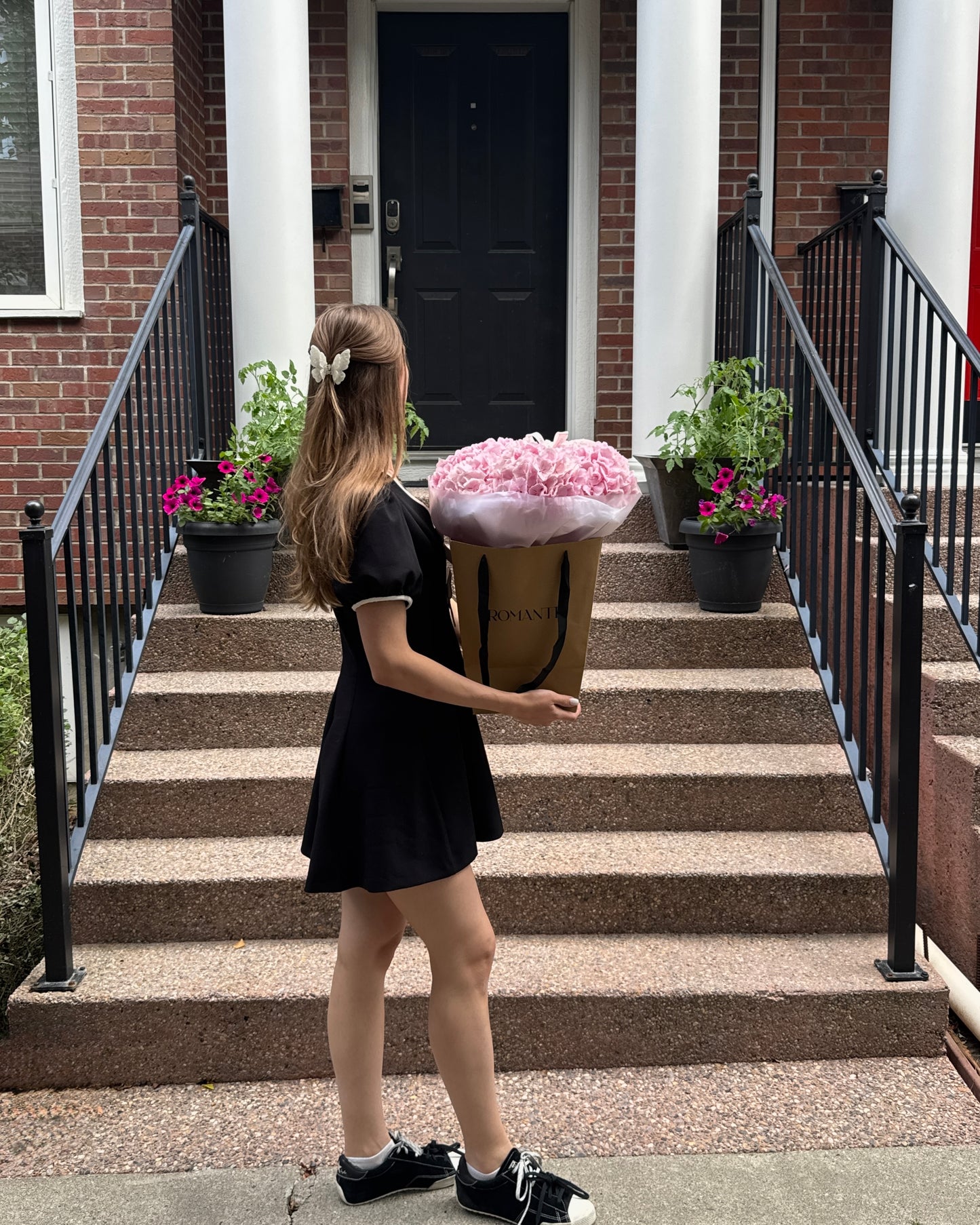 Hydrangea Paradise