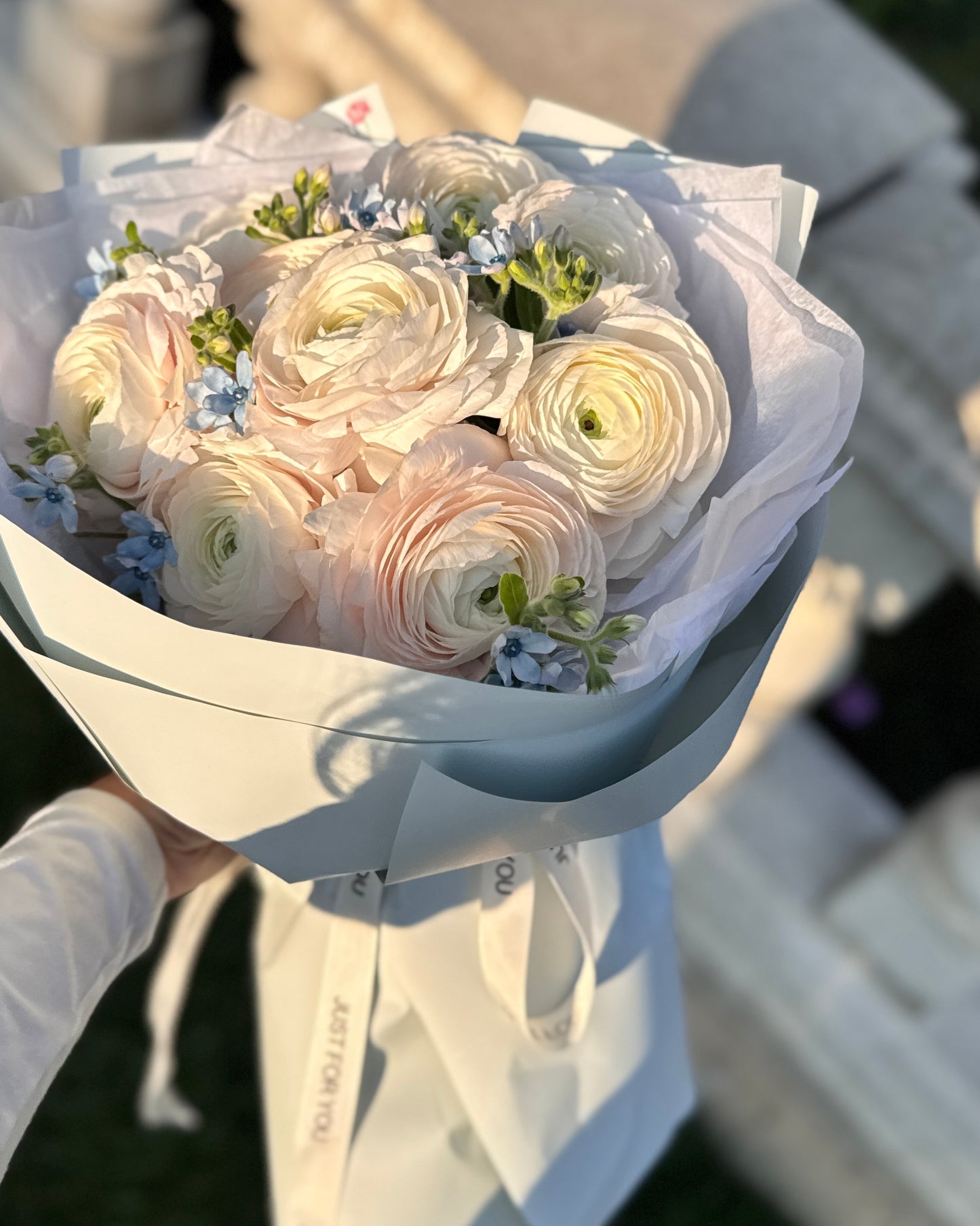 Ranunculus & Tweedia