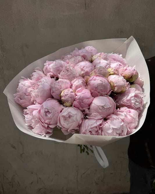 Peonies Dream